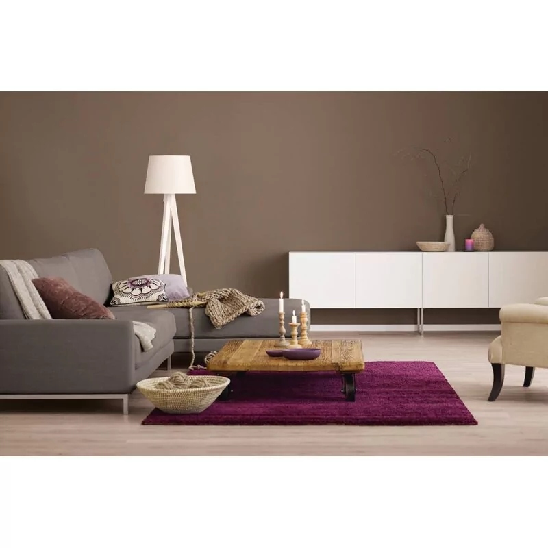 Alpina Farbrezepte Sanfte Erde Matt 2,5 Liter 2 Alpina Farbrezepte Sanfte Erde Matt 2,5 Liter – Bild 2