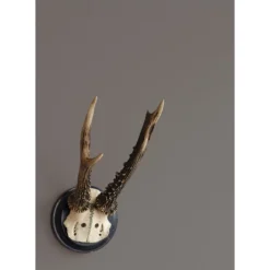 Alpina Feine Farben No. 01 Stärke Der Berge® Edelmatt 2,5 Liter 10 Alpina Feine Farben No. 01 Stärke Der Berge® Edelmatt 2,5 Liter -Alpina alpina feine farben no 01 staerke der bergez edelmatt 25 liter3.jpg