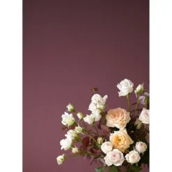 Alpina Feine Farben No. 17 Farbe Der Könige® Edelmatt 2,5 Liter 10 Alpina Feine Farben No. 17 Farbe Der Könige® Edelmatt 2,5 Liter -Alpina alpina feine farben no 17 farbe der koenigez edelmatt 25 liter3.jpg