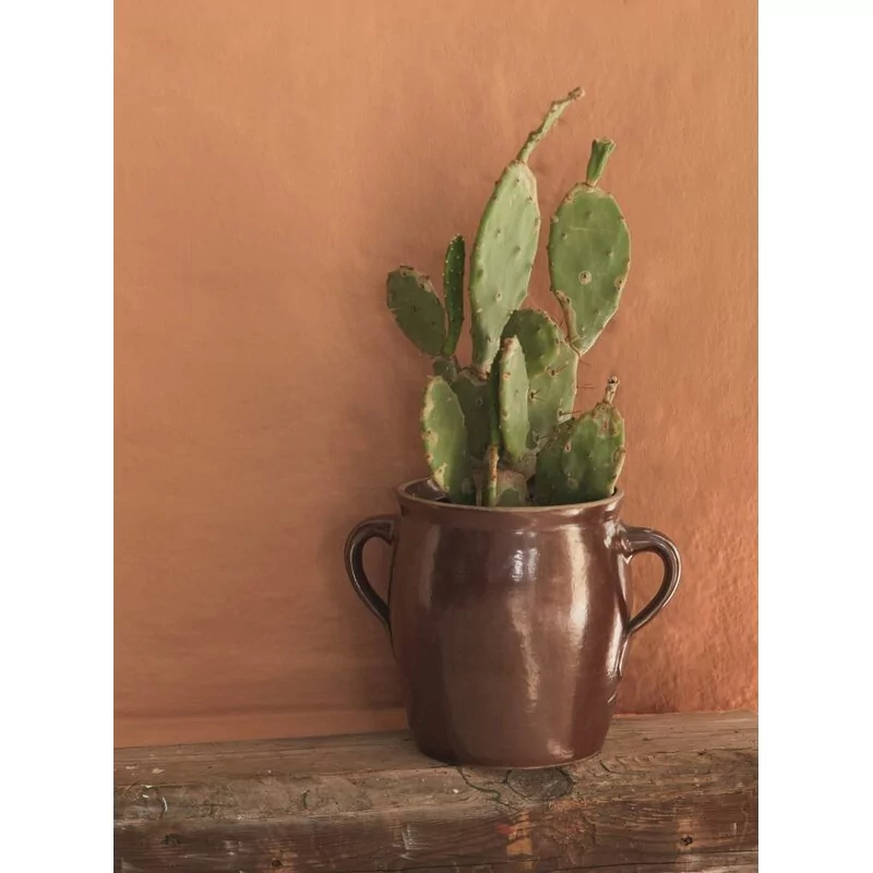 Alpina Feine Farben No. 43 Baukunst Der Sonne® Edelmatt 2,5 Liter 4 Alpina Feine Farben No. 43 Baukunst Der Sonne® Edelmatt 2,5 Liter – Bild 4